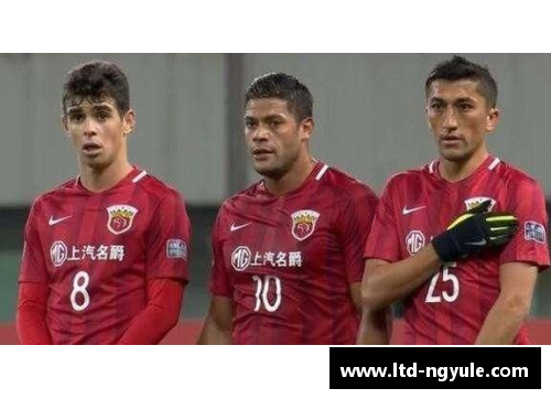 ng娱乐澳洲联赛球队引进外援，实力大增 - 副本