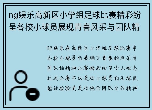 ng娱乐高新区小学组足球比赛精彩纷呈各校小球员展现青春风采与团队精神